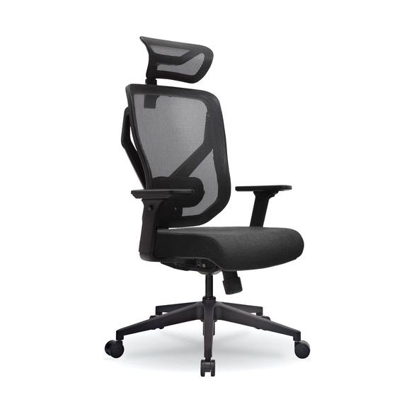 E-Form Ergonomic Mesh Chair