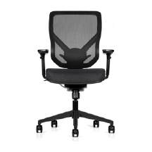 E-Form Ergonomic Mesh Chair