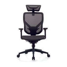 E-Form Ergonomic Mesh Chair