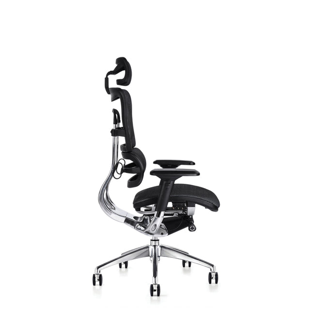 Ergonomic Chairs